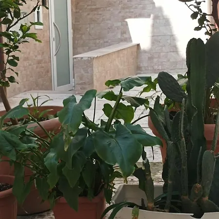 Il Sottano Borgo Antico 別荘 バーリ