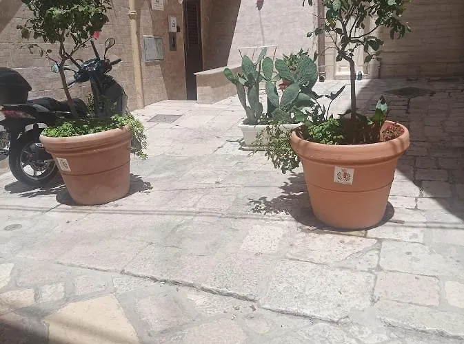 Il Sottano Borgo Antico 別荘 バーリ